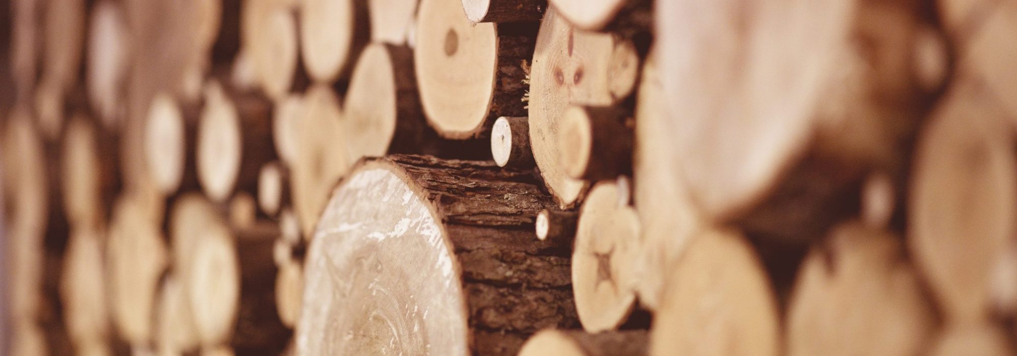 wood-banner-1-min wood-banner-1-min